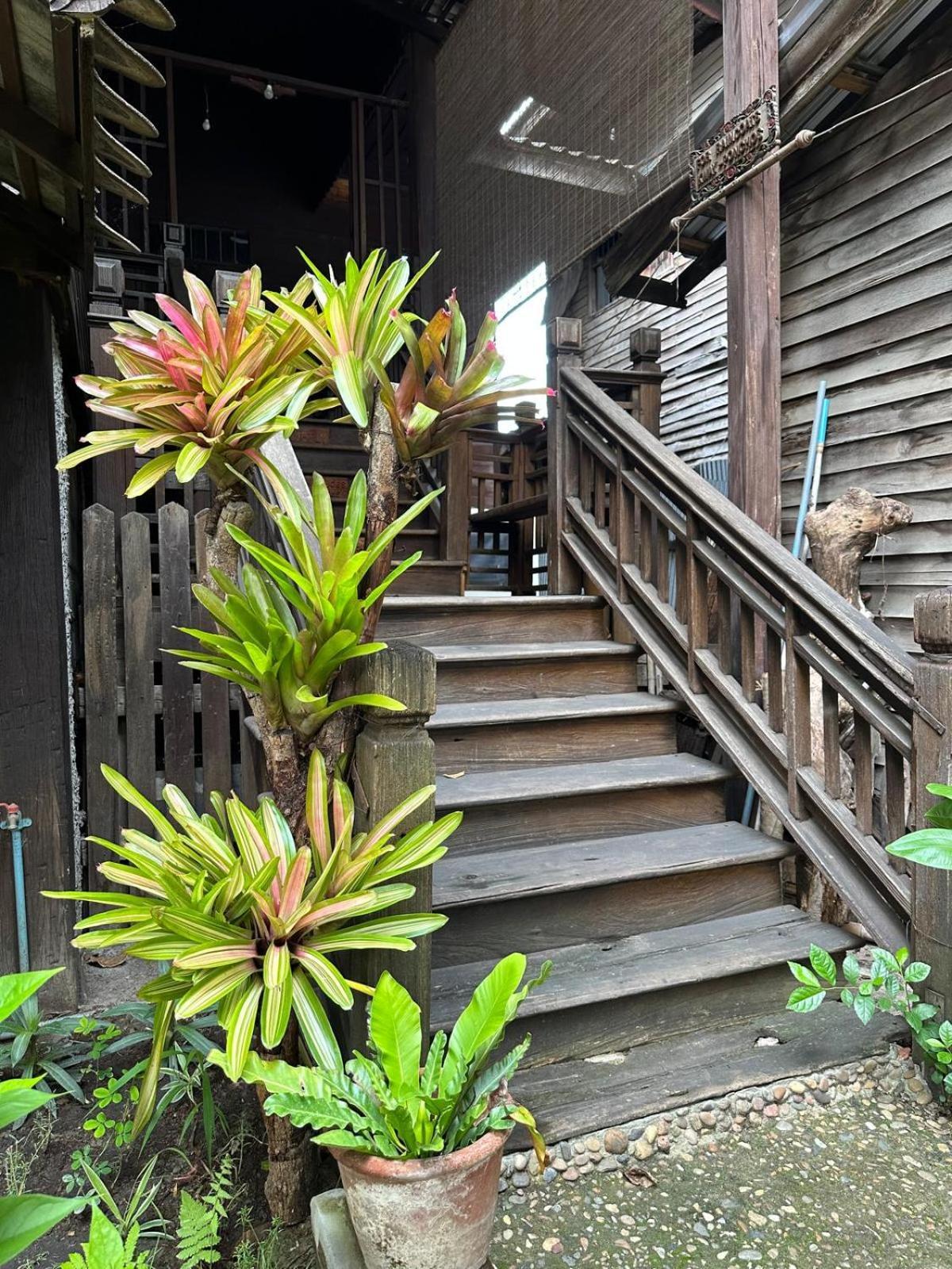 A Pousada Cozy Nest Cnx Chiang Mai Exterior foto
